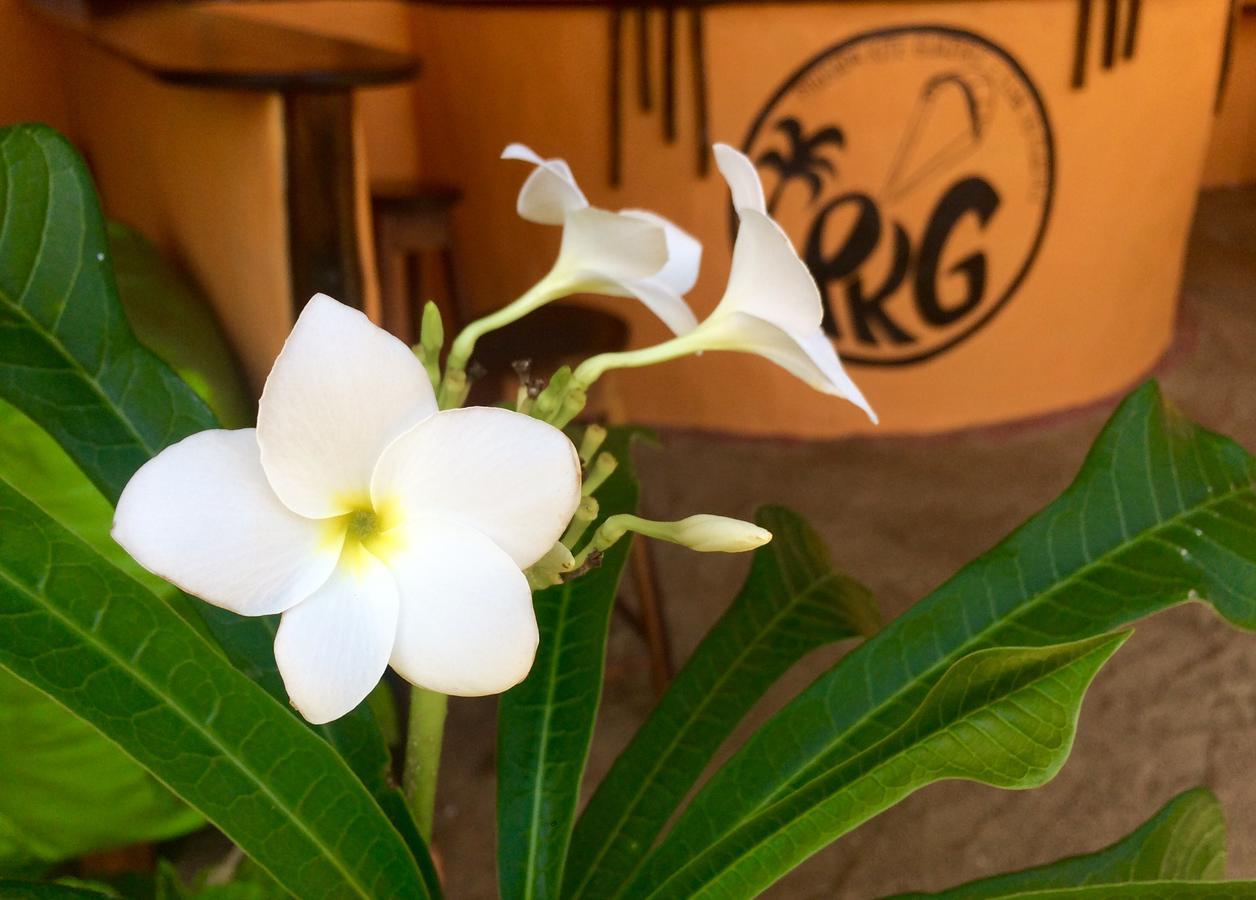 Pousada Kite Guajiru 伊塔雷马 外观 照片