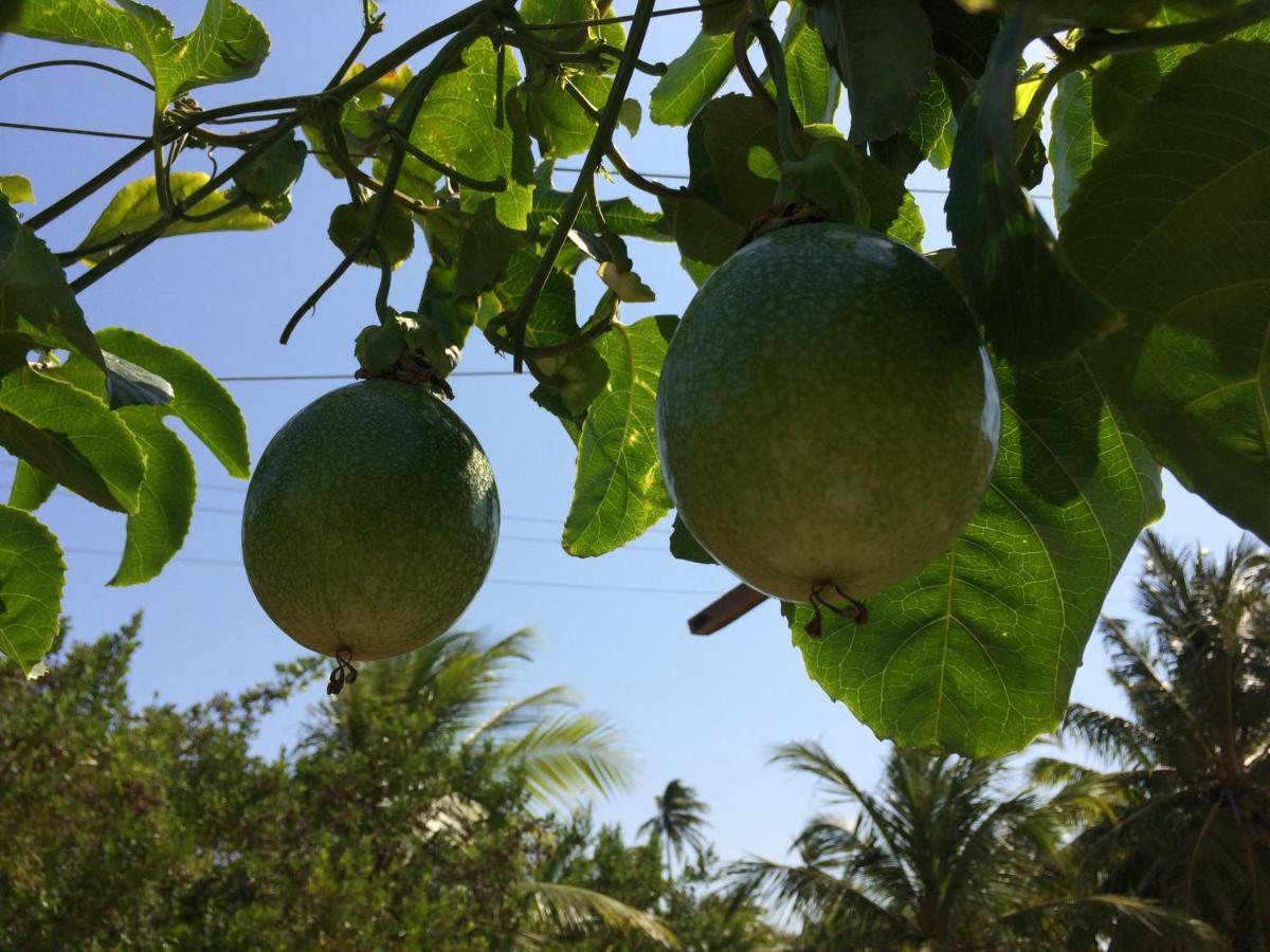 Pousada Kite Guajiru 伊塔雷马 外观 照片